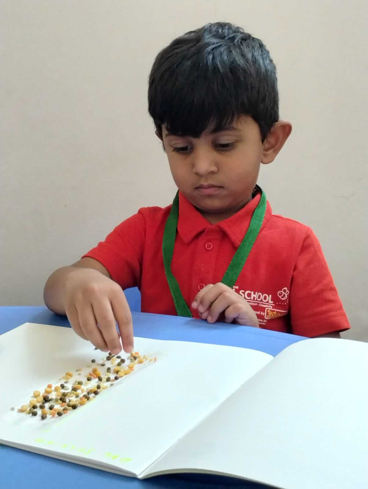 Play School NKJ Katni